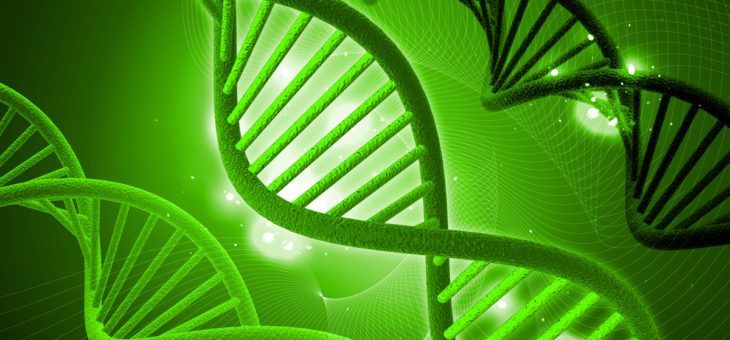 How To Make Magic Happen With Theta Healing